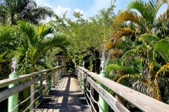 bridge-2-scaled