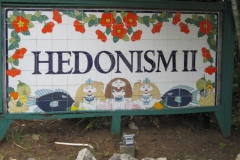 hedo-sign-3-scaled